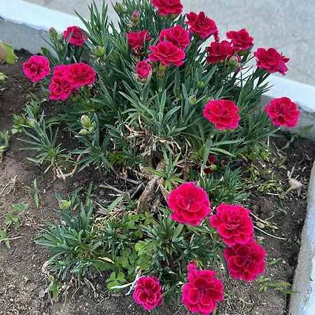 парк-хотел рива Lägenhet *